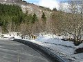 Stranda-Alesund