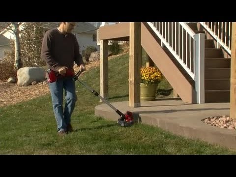 toro