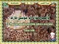 Abdulbasit Abdussamed -  kasas (5-13) - 2/2