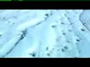 A Beautiful Lie by 30 seconds to mars (Official Music Video)