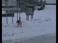 santa le parkuor
