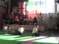 Open Bruxelles 181106