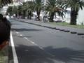 videos de Cláudio Cabral / Paulo Simões - Circuito das Sanjoaninas