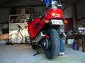 Honda CBR 1000F Predator Exhaust