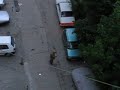 Stupid-woman-from-Bu