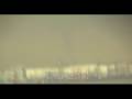Funnel Cloud Spotted over NY Harbor