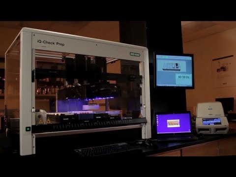 how to properly test iq