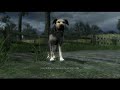 The Witcher on HD 3850