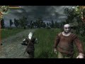 The Witcher on HD 3850