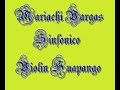 Mariachi Vargas Sinfonico Violin Huapango
