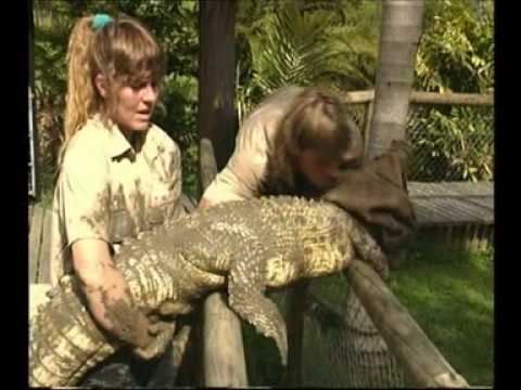 Steve Irwin - Most Dangerous Encounters (Part 4)