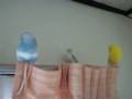 videos de 090105_1258~0001.m4v