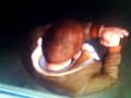 Curiosidad GTA IV