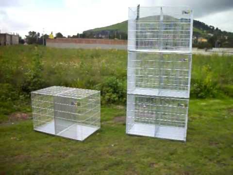 Jaulas+Para+Pajaros+De+Miami compra venta jaulas voladeras - Videos | Videos relacionados con ...