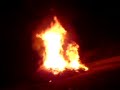 fire in rapaniana