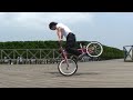 VISION STREET WEAR PV [MCR110] By GROW BMX SHOP