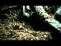 Milenrama Cultura Del Autogano Official Music Video and Lyrics