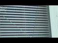 This giant bird smashed my window!!