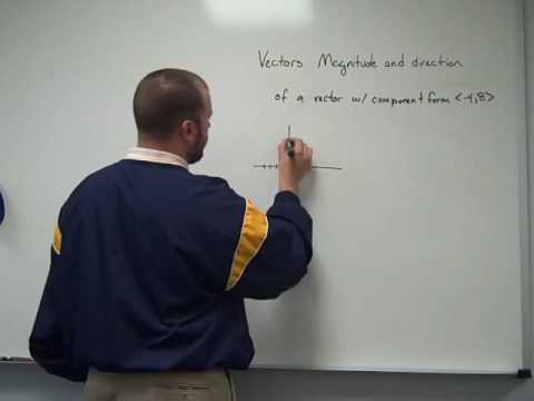 how to find vector with magnitude and direction