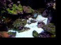 videos de 100_8563.MOV