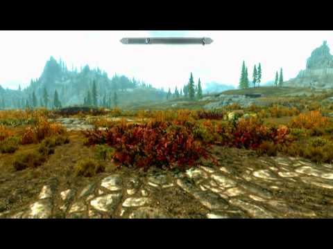 how to update skyrim pc