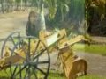 mauritius 2009.wmv kjv