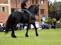 SDC13424