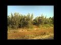 San Pedro Martir 2010 #1