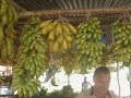 Frutas del Caney del Trio Matamoros