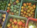 Frutas del Caney del Trio Matamoros