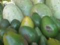 Frutas del Caney del Trio Matamoros