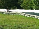 TUBING PIANI D\