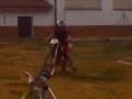 Trompos en robledo 7