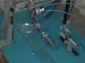 video of the inoculation mahcine I video of the inoculation mahcine I