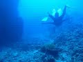 Zamami diving 3 - Ugan deep drop-off