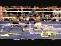 JUAN MANUEL MARQUEZ GREATEST HIGHLIGHTS 1993-2009