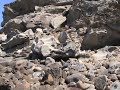 Calvino e L'Isola dei Giganti