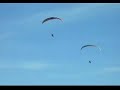 parapentes y veleros sobre el mar