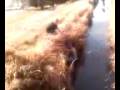 videos de 1119081250.3g2
