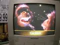 Chimpanzee So Real It's Unreal