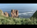 volcanaic rock