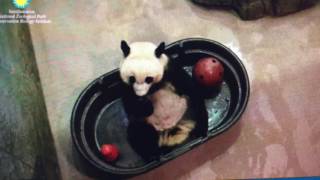 Smithsonian National Zoo