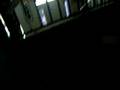 videos de Sean's pitbull