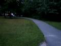 videos de Traxxas Rustler Jumping The Street