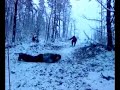 Skoki NSH