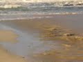 THE HEBRIDES