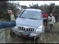 videos de rescate