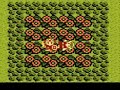 DQ4????????????? ???????