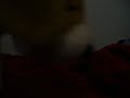 The Evil Puppy