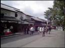 Nara Park 【てこてこ】ならをゆく 5/5 奈良 Nara Japan